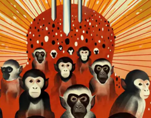 中国或将超越美国，成为灵长类基因编辑研究的“世界中心”