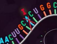 Nature深度综述：小分子靶向RNA，这些原则你都知道吗？