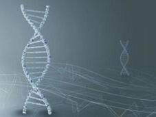 “基因驱动”消灭物种入侵，我们还有多远的路要走？