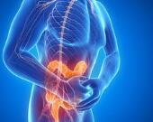 世界首例！用“猪小肠”修补人肠