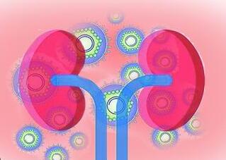 一项涉及 46 万余人的随访研究发现—— 乙肝患者更易肾损伤