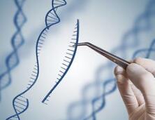  AI指点迷津，CRISPR再遭质疑