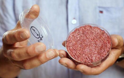 “人造肉”初创公司Mosa获880万美元新融资，默克领投