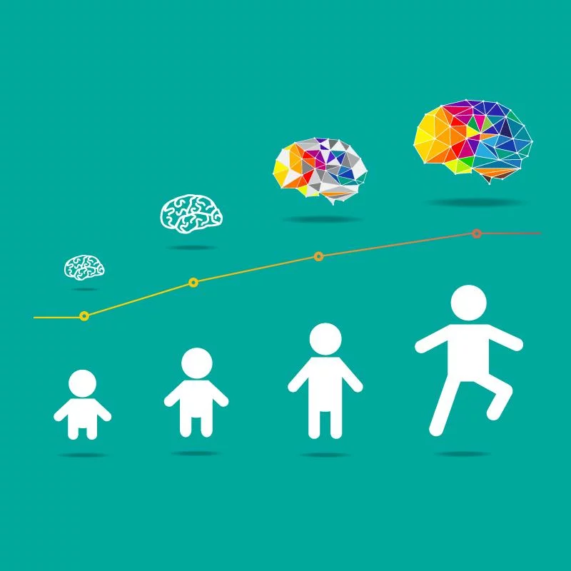 研究人员初步绘制“中国儿童标准脑结构模板”