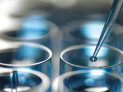 新药研发十年十亿美元，时间都去哪了，钱都去哪儿了？