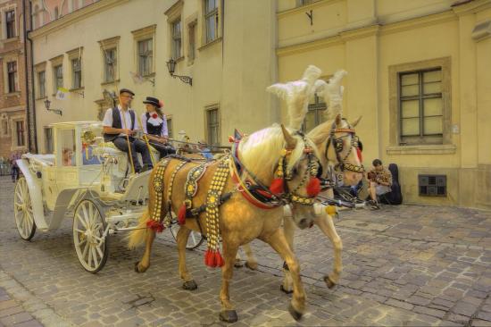 养老教育医疗 “三驾马车”还是“三座大山”？