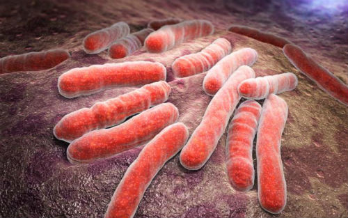 白癜风、银屑病……七种自身免疫疾病新药研发现状一览