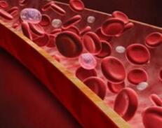 注意了！化验单上这一指标可能并不能说明你的心血管是否健康