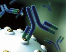 同济大学成功转让抗“超级耐药菌”感染单克隆药物研发成果