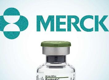 跨国药企两个PD-1中国上市，本土谁将与其争锋？