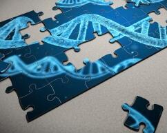 110万人参与！最大研究证明：超1200种基因影响我们的受教育程度