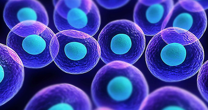 有效率达到88.9%，我国首个干细胞新药完成临床实验研究