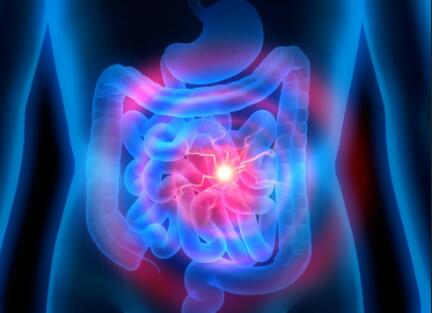 脑子坏了,肠子怎知?中美学者揭示神经与肠道信号通路