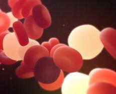 有望彻底告别血小板荒！科学家首次实现血小板大规模体外生产，人造血小板走向临床应用的最后一步完成