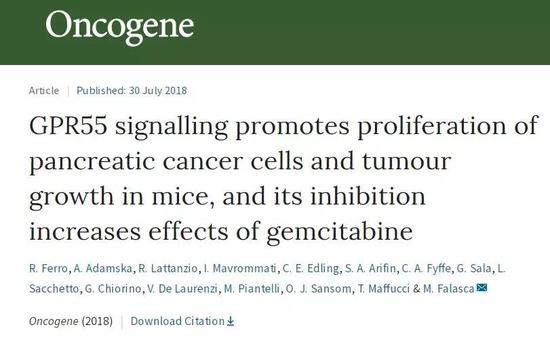 胰腺癌生存期延长3倍！成功关键是大麻素组合疗法？