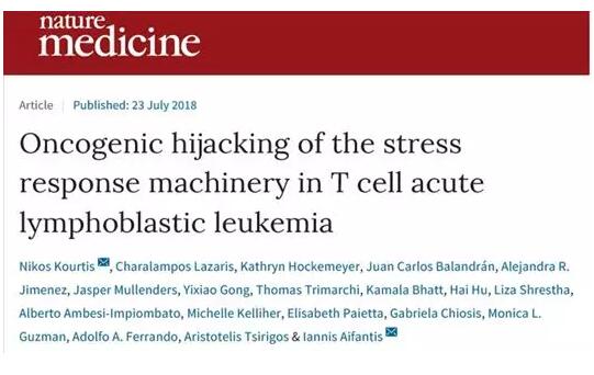 首次发现！这个常见信号通路还和白血病有关
