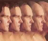 抗衰老药物研发进入成熟期？