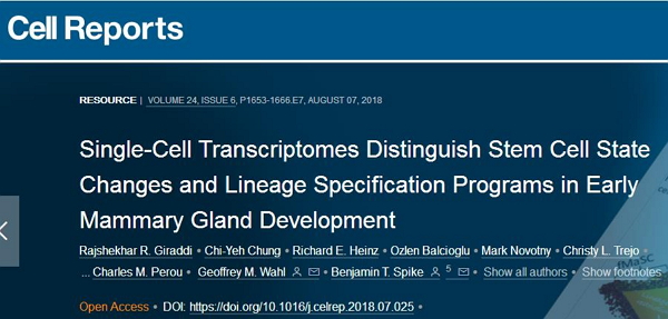 震惊！乳腺癌细胞早在胎儿细胞期就已“埋下伏笔”