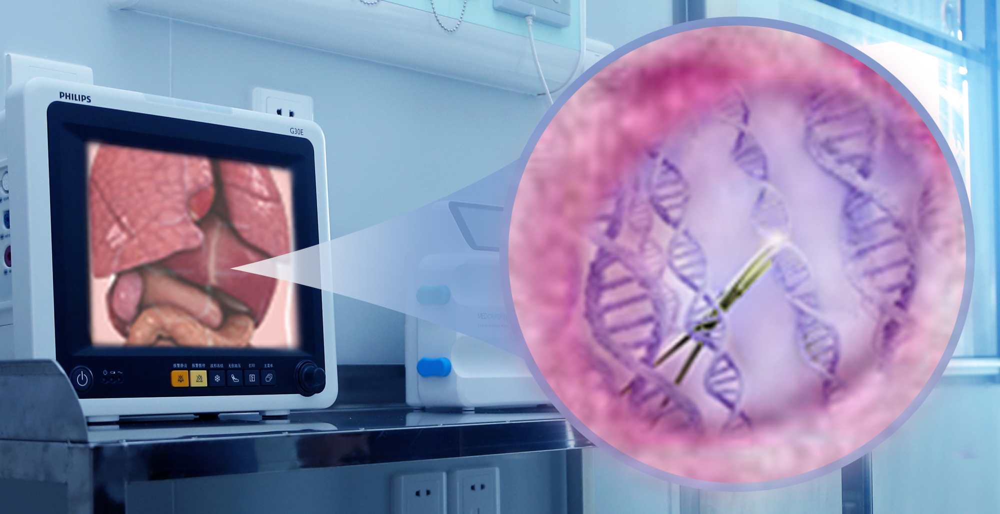 博雅辑因完成亿元Pre-B轮融资，推动基因编辑治疗产品进入临床