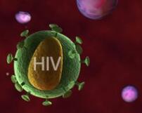 科学家发现两个HIV疗法潜在新型药物靶点