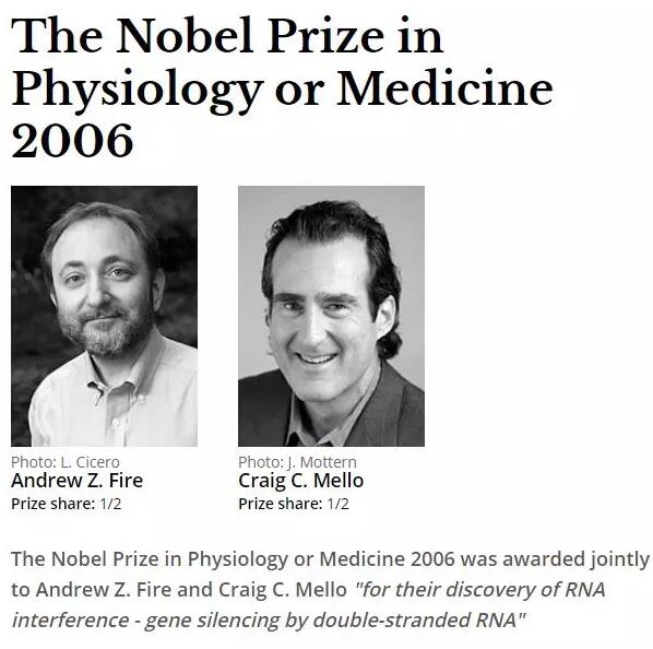 首款RNAi疗法诞生记：等了12年的“诺奖新药”