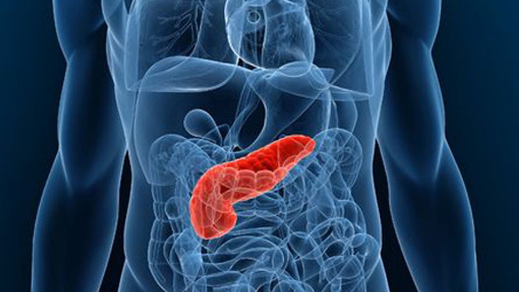 日本京大团队找到引发免疫性胰腺炎物质，有望用于诊疗