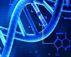 安斯泰来1亿美元收购英国眼科基因疗法公司