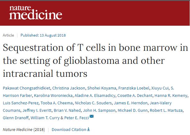 那些在对抗脑胶质瘤中不明去向的T细胞，科学家终于找到了！