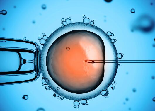 中国试管婴儿30年：无主胚胎库存近满 不忍扔不敢扔