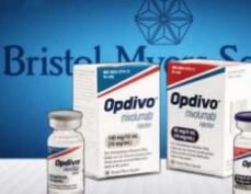 首款免疫肿瘤治疗药物上市在即，百时美施贵宝衔枚疾进做“头马”