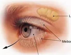 干眼症疗法获批上市，可显著改善泪液分泌