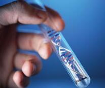可治疗150多种基因突变，基因疗法再获升级