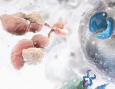 Yescarta和Kymriah对比，哪款CAR-T产品疗效更好？