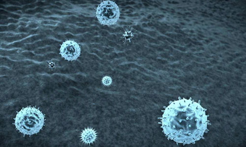 肿瘤可视化研究资助明确5大方向