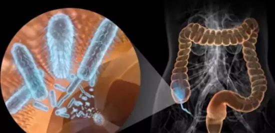 他喝下充满细菌培养液，以身试毒竟试出百年医学谜题