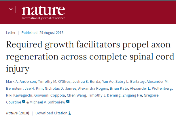 轴突再生！Nature：三管齐下再生完全脊髓损伤啮齿动物的神经纤维