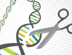 全球首批药企启动CRSPR基因编辑疗法人体临床研究