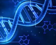 针对DNA损伤，癌症新疗法获8400万美元支持