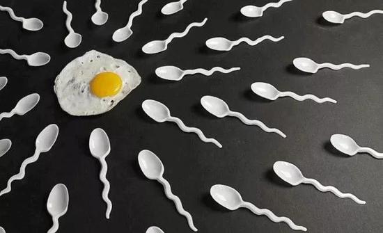 人类精子数量40年下降50% 什么样内裤能保护精子质量