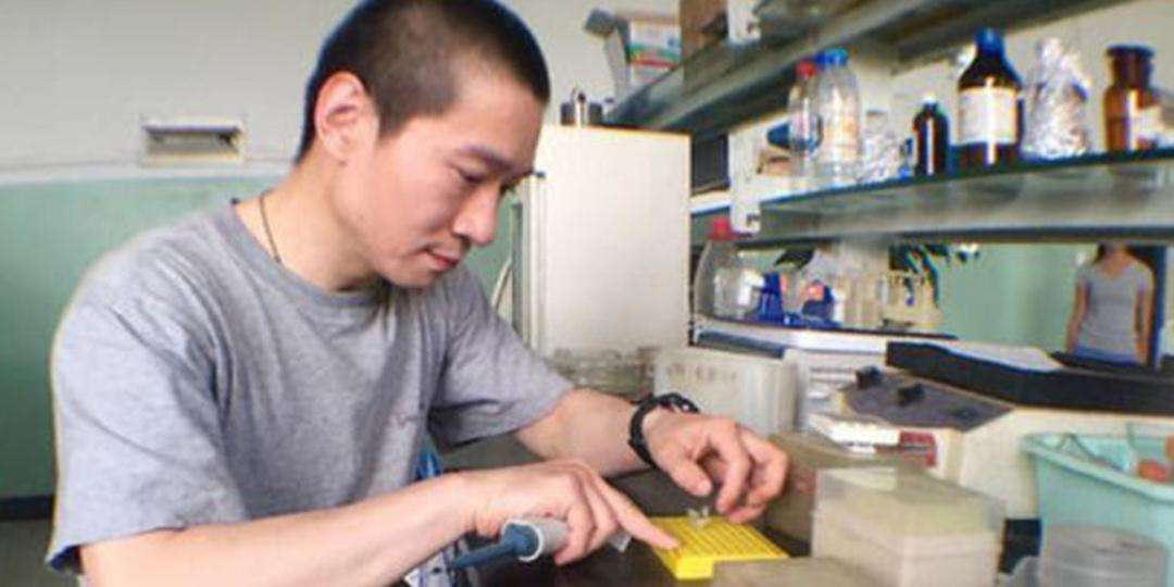 追问韩春雨事件调查报告的四大痛点