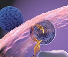 mRNA技术是否能颠覆制药工业？