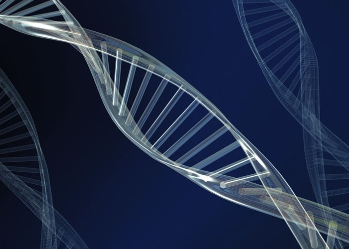 基因的剪接作用如何影响机体患病风险？