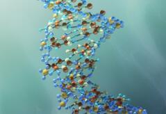 新核酸药：让抑癌基因不再“沉默”