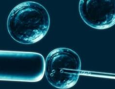 Nature深度综述：内源干细胞怎样进行组织修复和再生？