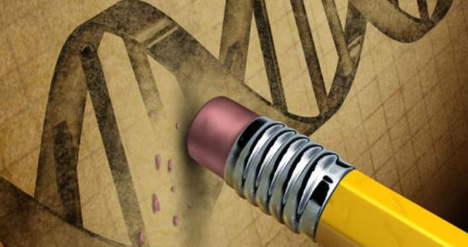 首个人体内基因组编辑试验结果公布：效果安全，但有效性不明？