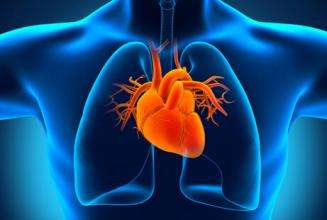 2024年心血管药版图将改变，这五种药物最畅销！