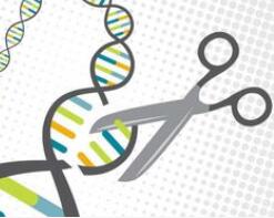 Science深度综述：CRISPR/Cas指引基因工程的未来