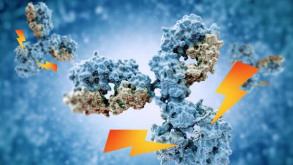 国内抗体偶联药物申报进度一览