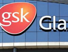 因数据不充分，FDA拒绝GSK哮喘药Nucala作为COPD的附加治疗！