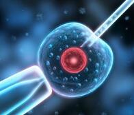 数千亿元的辅助生殖市场，民营资本有这三大机会点